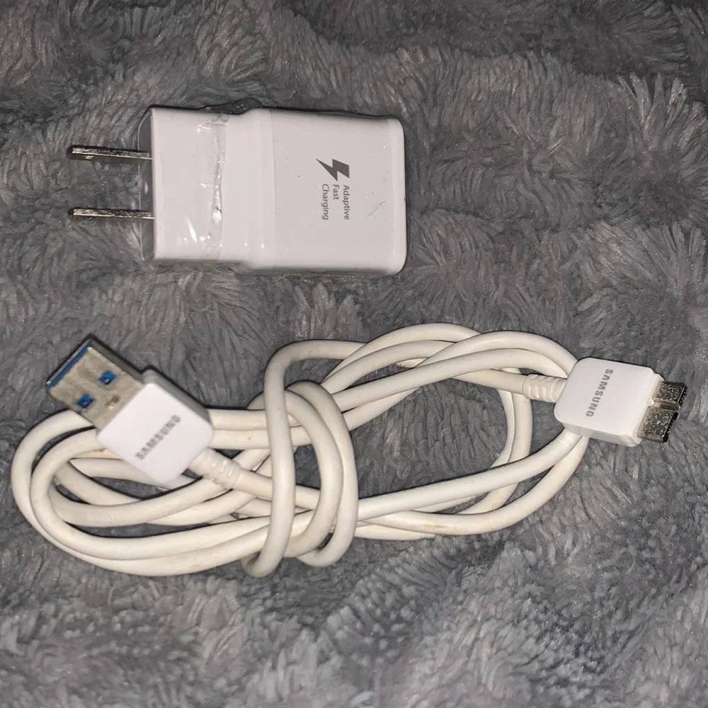Samsung 21 Pin Charger